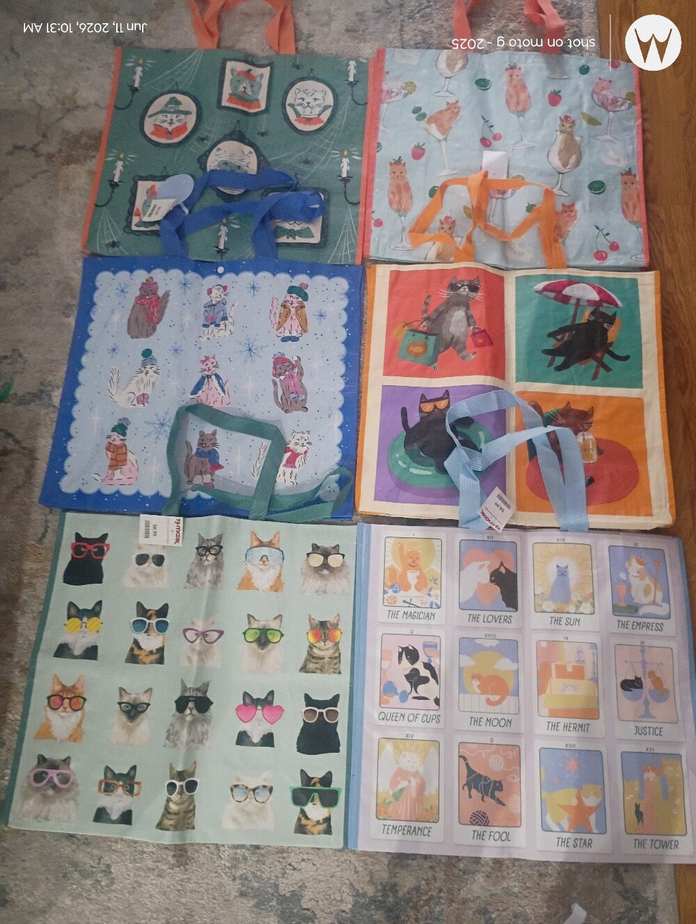 T.J Maxx Reusable Cat Bags (6)
